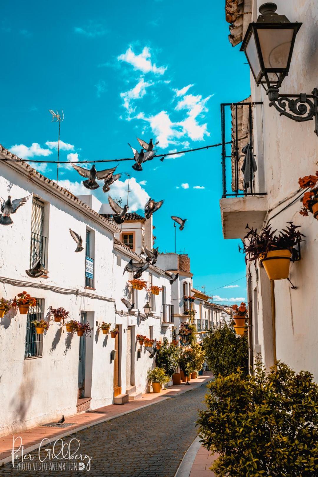 Apartament Casa Catalina Beach And Golf Estepona Zewnętrze zdjęcie